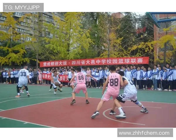 深度对话吴娜分享她的篮球人生与成长故事的启示与反思